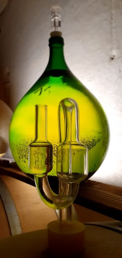 Earl Loïc MAHE, Vignoble à Savennières