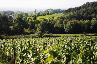 Domaine Ghislain Kohut, Vignoble à Couchey