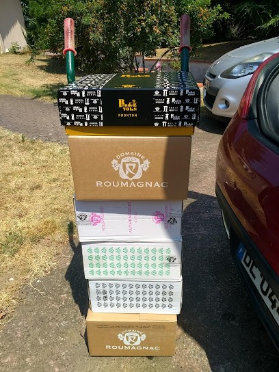 Domaine Roumagnac, Vignoble à Villematier