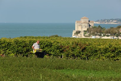Magasin Du Vignoble Des Hauts De Talmont, Vignoble à Talmont-sur-Gironde