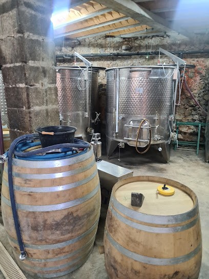 Cave Sébastien Blachon, Vignoble à Saint-Jean-de-Muzols