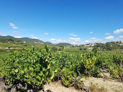 Domaine Constant-Duquesnoy Domaine viticole AOP Vinsobres Cairanne Côtes du Rhône Villages, Vignoble à Mirabel-aux-Baronnies